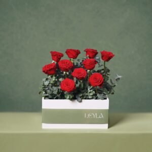 Arrangement 11
