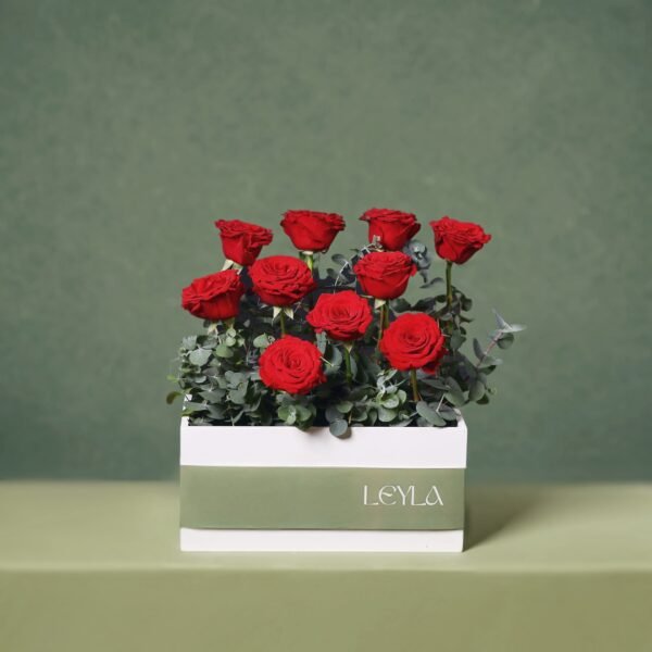 Arrangement 11
