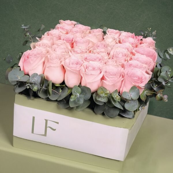 Arrangement 14