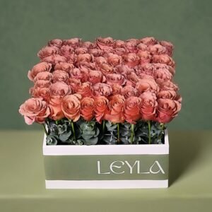 Arrangement 22