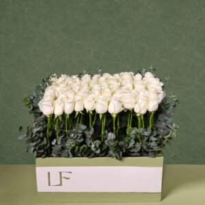 Arrangement 18