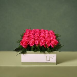 Arrangement 19